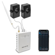 Smart Home Energy Monitor with Circuit Level Sensors